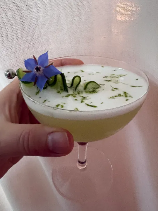 Hand holding a pale green sour in a coupe, garnished with a blue borage flower and a cucumber ribbon on a pick, the foam flecked with lime zest