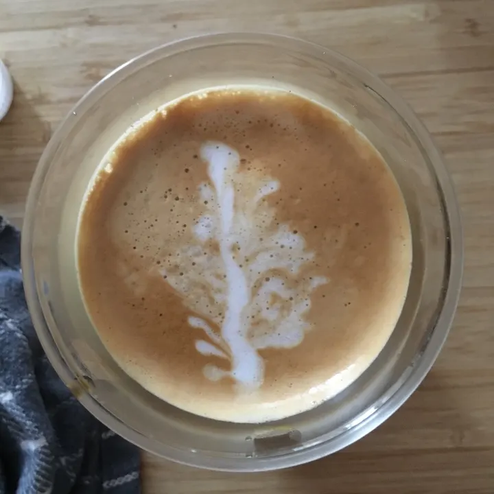 A faint, feathery rosetta in a glass cup