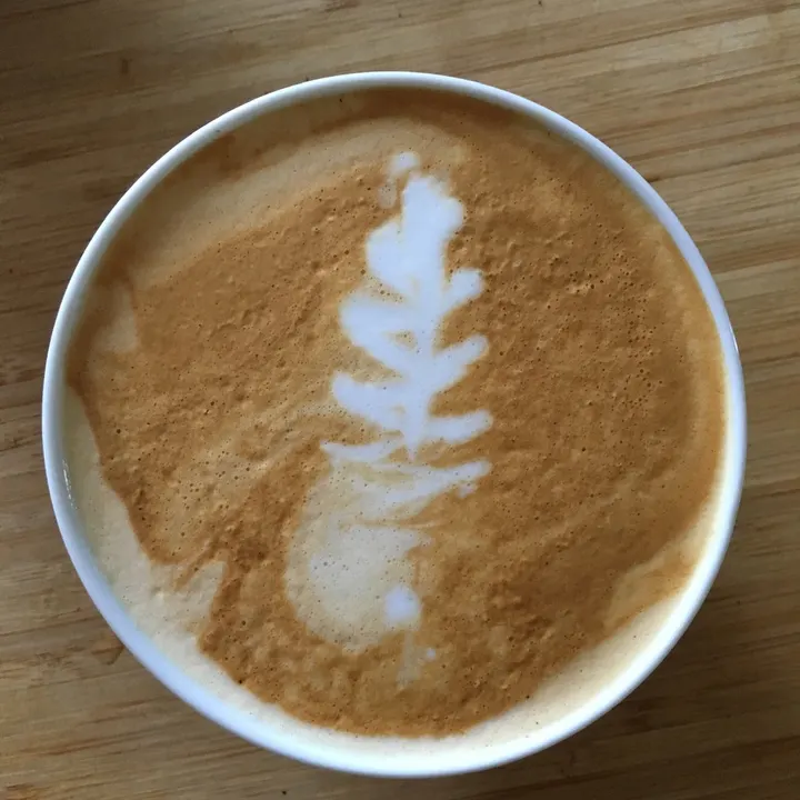A rosetta in a white cup, its leaves fading towards the bottom