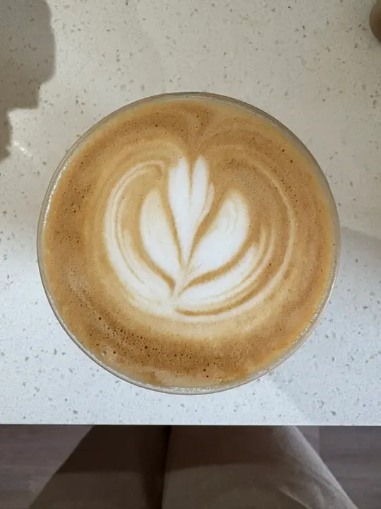 A rosetta with wide leaves in a glass