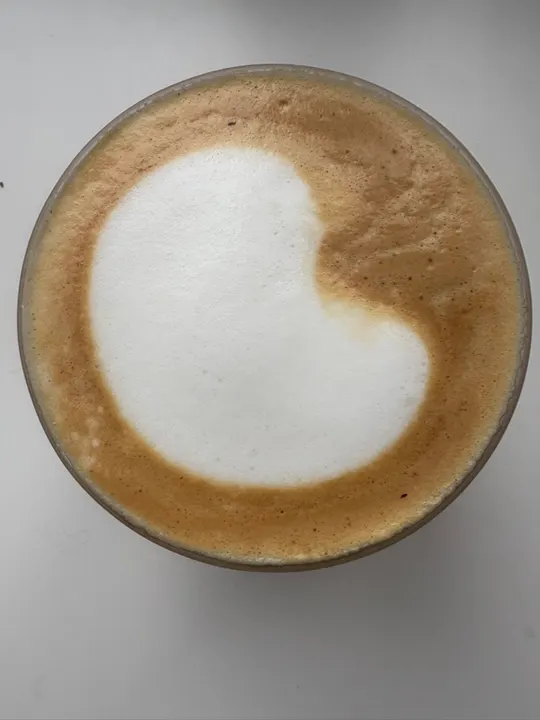 A smooth, kidney-shaped white blob of foam on a latte